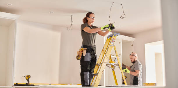 Best Commercial Electrician Services  in Wixom, MI